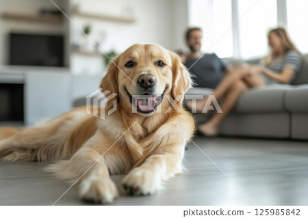 Happy golden retriever lounging in a cozy living room with a couple relaxing on the couch Happy golden retriever lounging in a cozy living room with a couple relaxing on the couch 125985842
