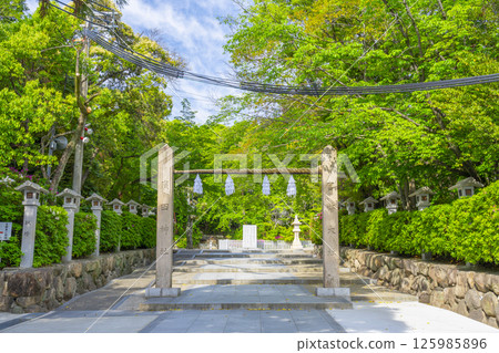 廣田神社：被新綠色環繞的神社柱子和參拜道（兵庫縣西宮市） 125985896