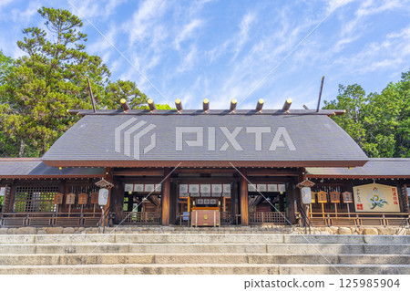Hirota Shrine - The worship hall surrounded by fresh greenery (Nishinomiya City, Hyogo Prefecture) 125985904