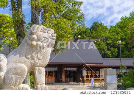 Hirota Shrine - The worship hall seen through the lion statues (Nishinomiya City, Hyogo Prefecture) Hirota Shrine - The worship hall seen through the lion statues (Nishinomiya City, Hyogo Prefecture) 125985921