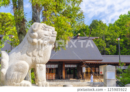 Hirota Shrine - The worship hall seen through the lion statues (Nishinomiya City, Hyogo Prefecture) Hirota Shrine - The worship hall seen through the lion statues (Nishinomiya City, Hyogo Prefecture) 125985922