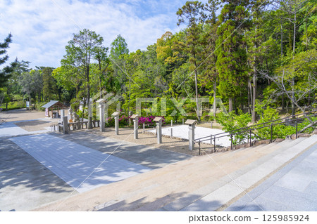 Hirota Shrine - The approach to the shrine surrounded by fresh greenery (Nishinomiya City, Hyogo Prefecture) 125985924