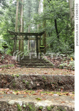 森林裡的一座小神社 125986350