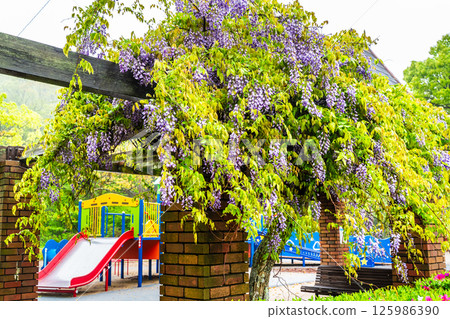 Fuji at Inasayama Park [Nagasaki City] 125986390