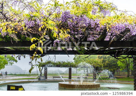 稻佐山公園的富士山[長崎市] 125986394