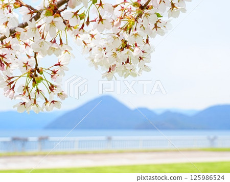 Spectacular view of Hokkaido: Lake Toya in spring with cherry blossoms in full bloom 125986524