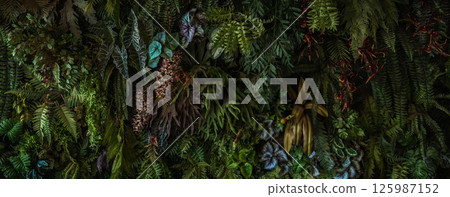Herb wall, plant wall, natural green wallpaper and background.  125987152