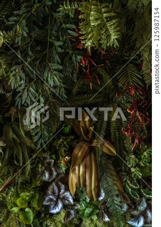 Herb wall, plant wall, natural green wallpaper and background.  125987154