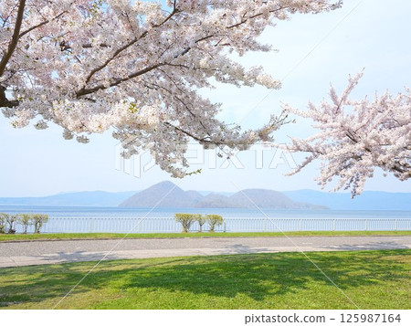 北海道絕景：春天洞爺湖櫻花盛開 125987164