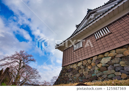 Ono Castle with cherry blossoms in full bloom 125987369