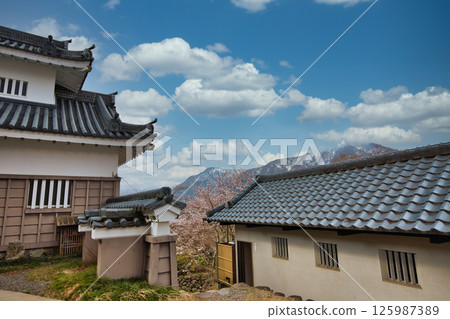 Ono Castle with cherry blossoms in full bloom Ono Castle with cherry blossoms in full bloom 125987389