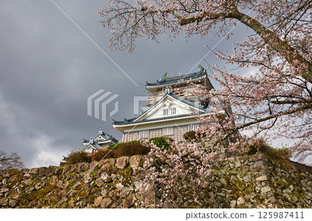 櫻花盛開的小野城 125987411