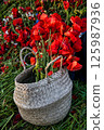 beautifully woven basket filled with striking red poppies, 125987936