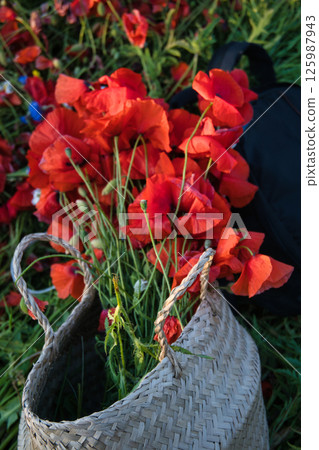 A basket filled with vibrant red poppies sits on a lush green field, surrounded by the beauty of nature.  125987943