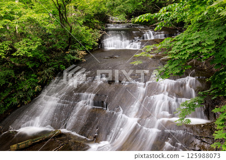 北海道惠庭市被新綠環繞的拉魯馬奈瀑布 [5月] 125988073