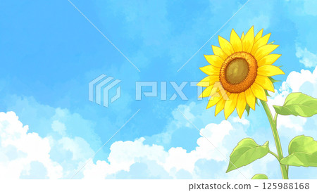 向日葵和藍天 125988168