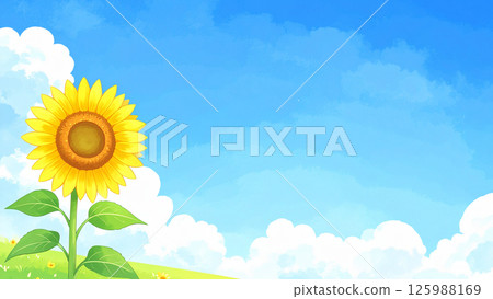 向日葵和藍天 125988169