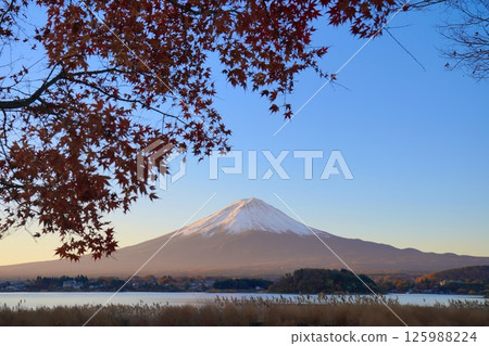 秋季富士山，秋葉飄零，晴空萬裡 125988224