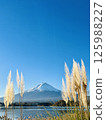 秋季富士山，秋葉飄零，晴空萬裡 125988227