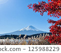秋季富士山，秋葉飄零，晴空萬裡 125988229