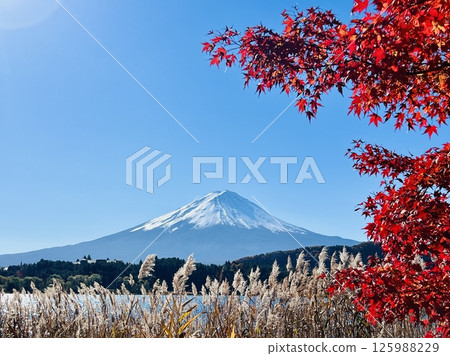 Mt. Fuji in autumn with autumn leaves and clear skies Mt. Fuji in autumn with autumn leaves and clear skies 125988229