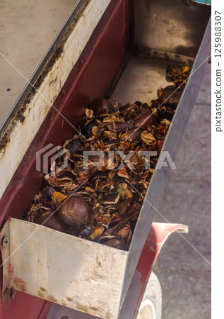 Close-up of roasted chestnut shells in metal bin after street food preparation. High quality photo 125988307