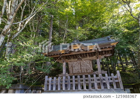 秩父三峰神社 - 神社內的秋景 - 神社指南 125988367