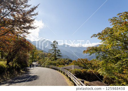 Autumn scenery of Mt. Mitsumine in Chichibu Autumn scenery of Mt. Mitsumine in Chichibu 125988438