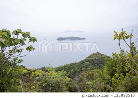 日本岡山縣笠岡市白石島美麗的春日風景 125988516