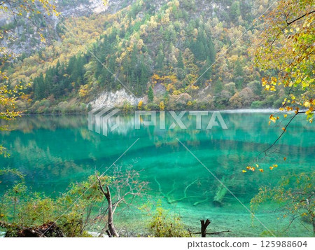 九寨溝風光 125988604