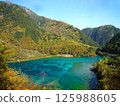 九寨溝的秋葉和清澈的湖泊 125988605
