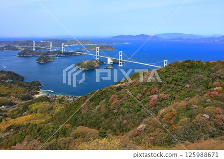 【愛媛縣】春天櫻花盛開時,從岐山展望台眺望來島海峽大橋(島波街道) 【愛媛縣】春天櫻花盛開時,從岐山展望台眺望來島海峽大橋(島波街道) 125988671