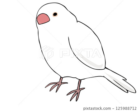 Colorful White Bunting 125988712