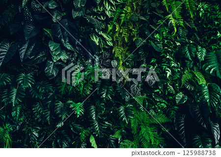 Herb wall, plant wall, natural green wallpaper and background. Herb wall, plant wall, natural green wallpaper and background. 125988738