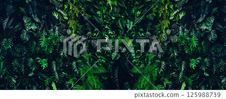 Herb wall, plant wall, natural green wallpaper and background. Herb wall, plant wall, natural green wallpaper and background. 125988739