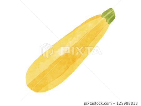 水彩風格的黃色西葫蘆插圖 125988818