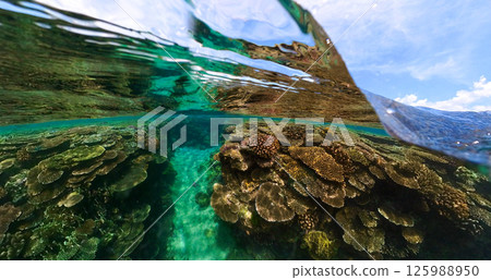 Coral reef ocean waves 125988950