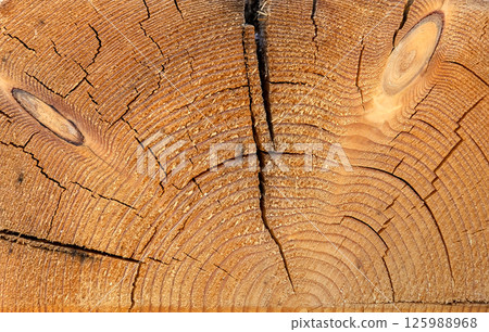 Wood texture background.  125988968