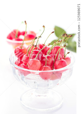 Yamagata Prefecture high-quality cherries white background Yamagata Prefecture high-quality cherries white background 125989071