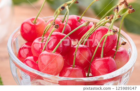 High-quality cherries from Yamagata Prefecture 125989147