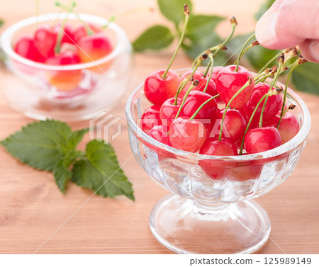 山形縣的優質櫻桃 125989149