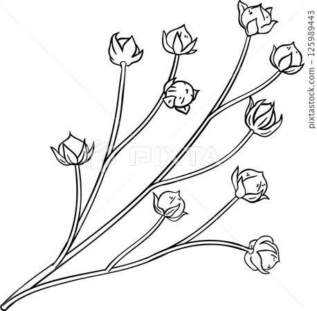 Flax Branch Colored Detailed Illustration. Flax Branch Colored Detailed Illustration. 125989443
