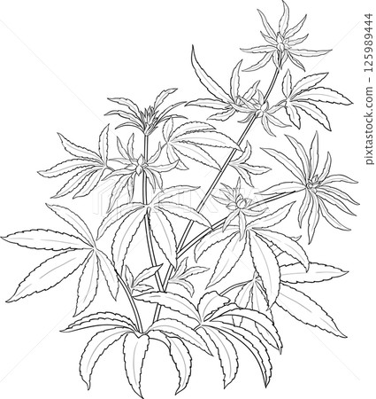 Vector isolated for design  125989444