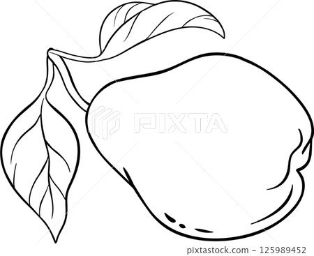Pear Fruit Outline Illustration. Pear Fruit Outline Illustration. 125989452