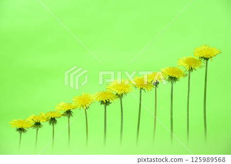 Expressing graphs with dandelions 125989568