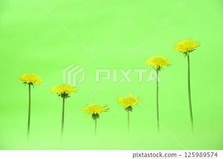 Expressing graphs with dandelions Expressing graphs with dandelions 125989574