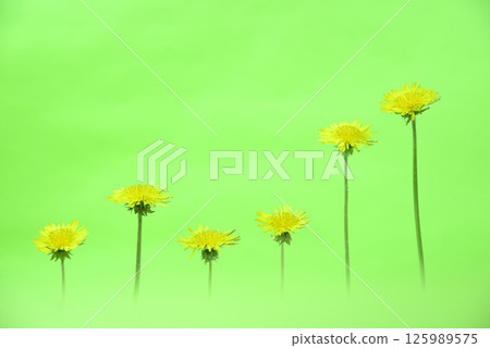 Expressing graphs with dandelions Expressing graphs with dandelions 125989575