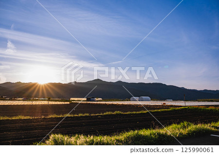 Rural landscape illuminated by the sun at dusk, Yamagata Village Rural landscape illuminated by the sun at dusk, Yamagata Village 125990061
