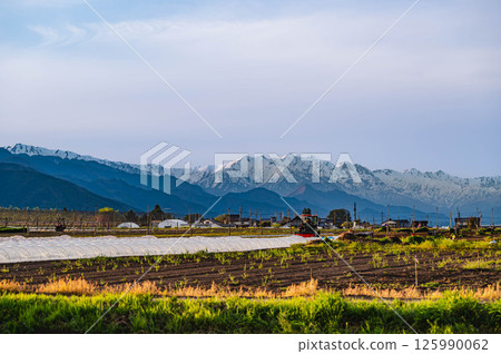 Hakuba seen from Yamagata Village in the evening Hakuba seen from Yamagata Village in the evening 125990062