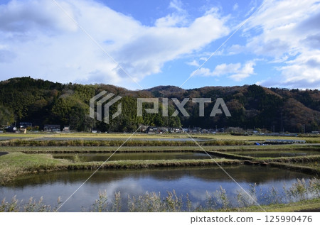 rice field filled with water rice field filled with water 125990476